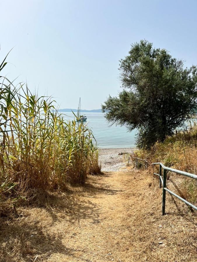 Lithino Apartments - 5Min From The Beach Agios Ioannis Peristerion Exteriér fotografie
