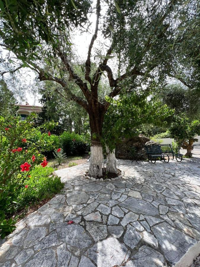 Lithino Apartments - 5Min From The Beach Agios Ioannis Peristerion Exteriér fotografie
