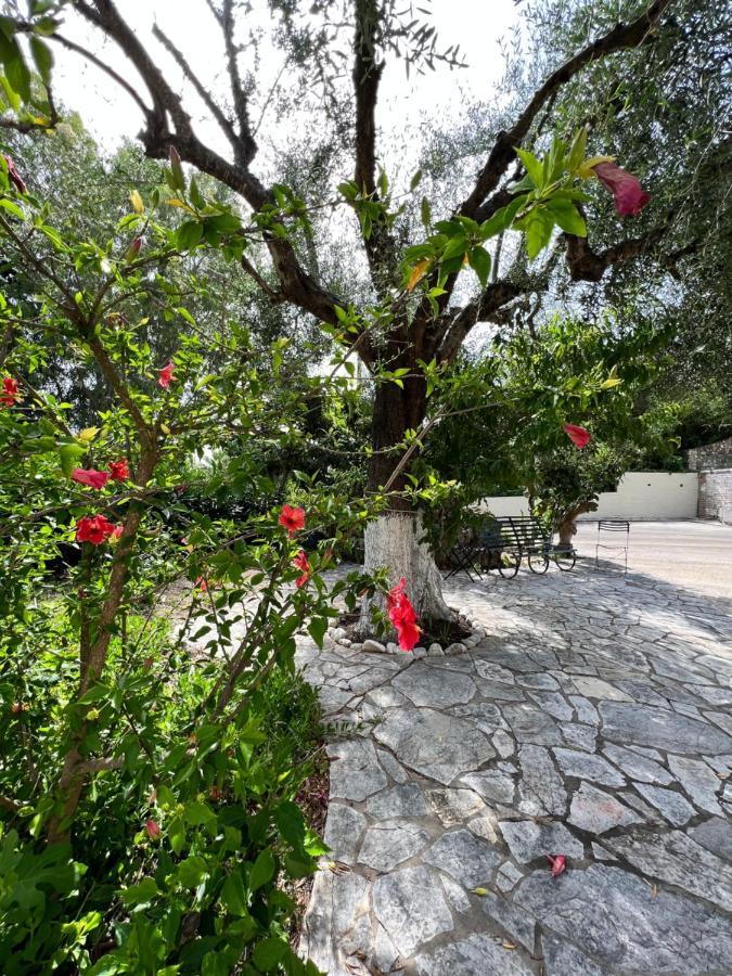 Lithino Apartments - 5Min From The Beach Agios Ioannis Peristerion Exteriér fotografie